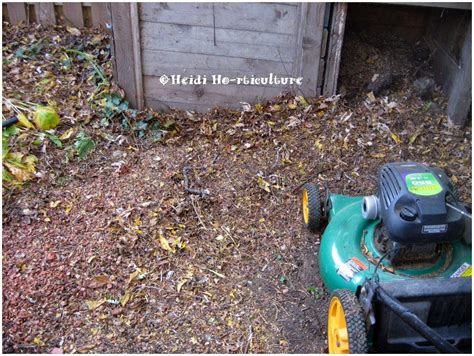 Heidi Horticulture: Composting Leaves - Mulching