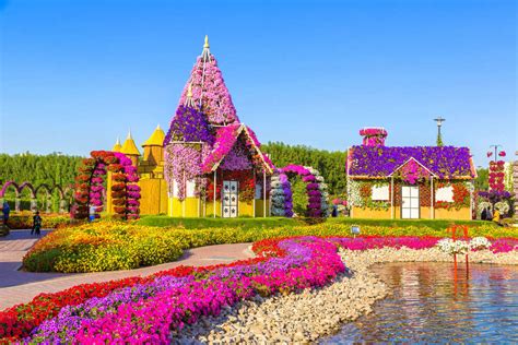 Dubai Miracle Garden Opening Time and activities