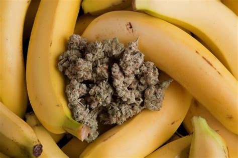 Banana OG Cannabis Strain Review - Industrial Hemp Farms