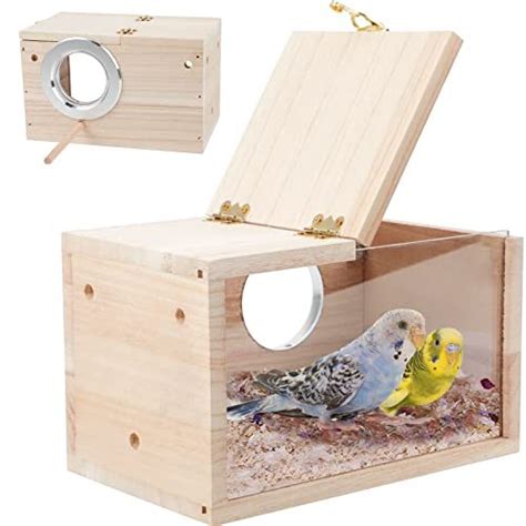 Parakeet Nest Box - Transparent design | Budgie Shop