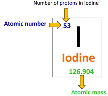 Iodine Bohr Model - How to draw Bohr diagram for Iodine(I)