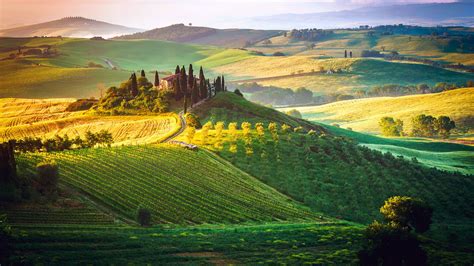 Tuscany vineyard wallpaper - backiee