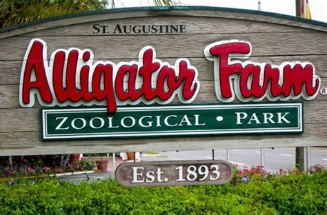 THE ALLIGATOR FARM IN ST. AUGUSTINE CELEBRATES ITS 125TH ANNIVERSARY