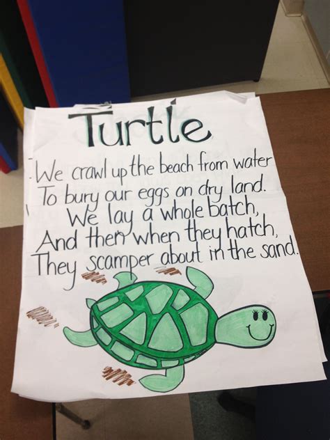 Ocean Theme Preschool: Turtle Poem for Kids