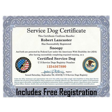 Buy Official Certified Service Dog Customized Certificate with Raised Embossed Gold Seal ...