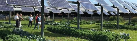 Clean Energy: Researching the Agricultural and Economic Impacts of Agrivoltaics (Dual-Use Solar ...