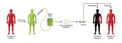 Could plasma from recovered COVID-19 patients help others? - Boston ...