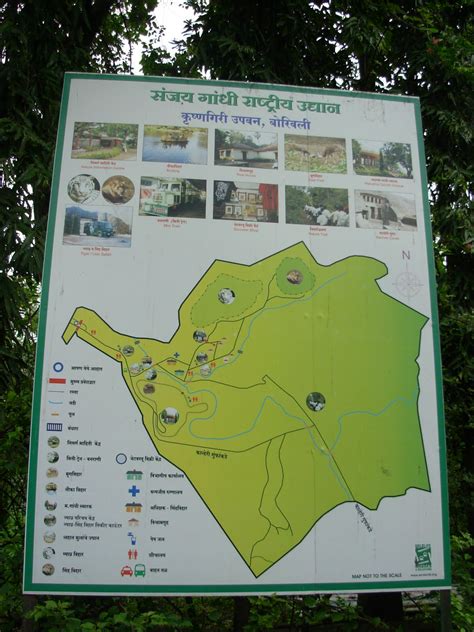 nisha_joshi: Sanjay Gandhi National Park,Kanheri Caves