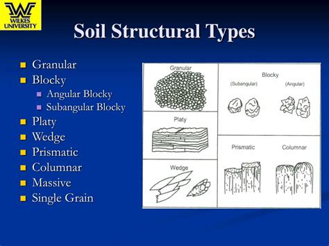 PPT - Soil Structure PowerPoint Presentation, free download - ID:357696