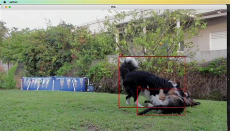 Object Detection with YOLO v8 on Mac M1 - Pysource