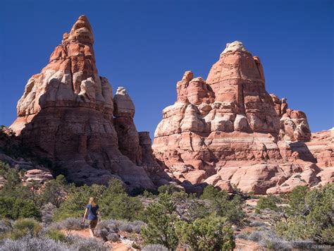 Hiking in the Needles District | Canyonlands National Park, Utah | Mountain Photography by Jack ...