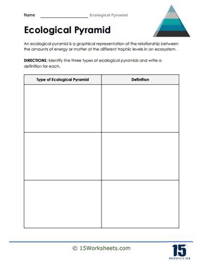 Ecological Pyramid Worksheets - 15 Worksheets.com