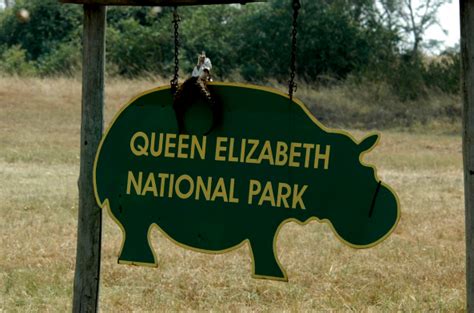 4 Days Queen Elizabeth Wildlife Safari - Habari Uganda Tours