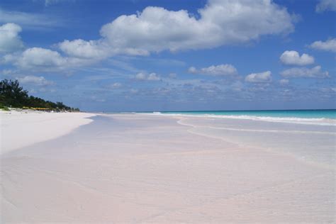 Ultimate Travel Guide to Pink Sands Beach Bahamas