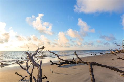 10 Best Things to Do on Jekyll Island - What is Jekyll Island Most Famous For? - Go Guides