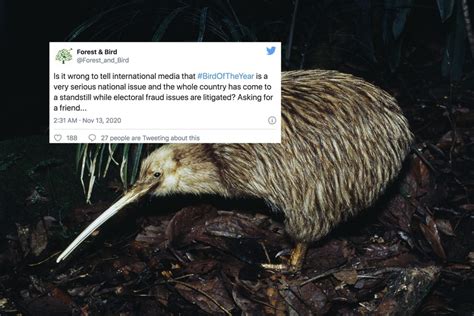 The Only Extensive Voter Fraud In 2020 Was The New Zealand 'Bird of the Year' Vote - Culture