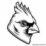 Arizona Cardinals Coloring Pages  Free & Printable sketch template