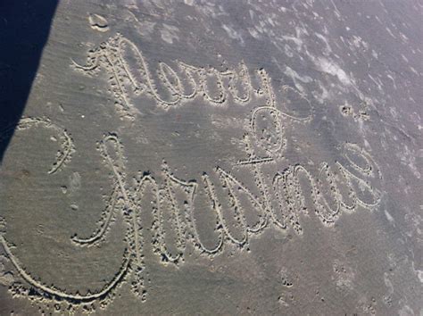 Hagma Goldmark on Twitter: "I took this picture ten years ago on Isle of Palms."