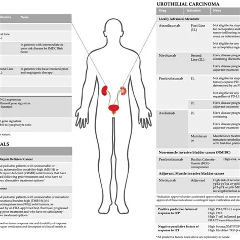 ICI clinical trials in renal cell carcinoma. | Download Scientific Diagram