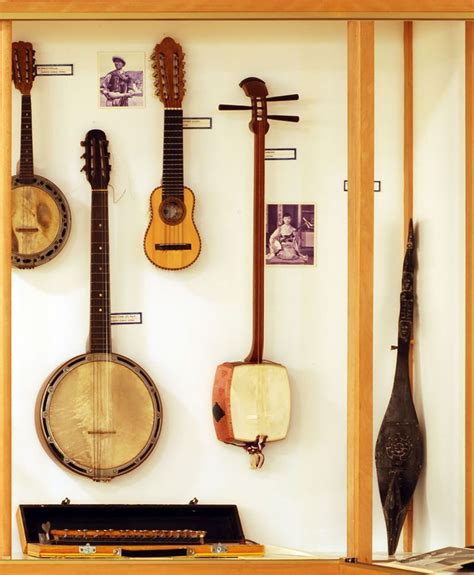 Plucked string instruments (4) Timple, Charango, Banjo, Shamisen - Soinuenea.jpg | Musical ...