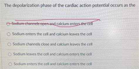 Solved The depolarization phase of the cardiac action | Chegg.com