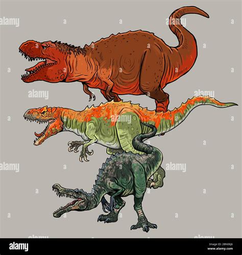 Comparison of dinosaurs: Tyrannosaurus rex, Allosaurus and Baryonyx ...