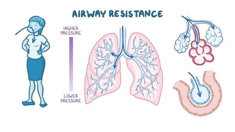 Airflow, pressure, and resistance - Osmosis