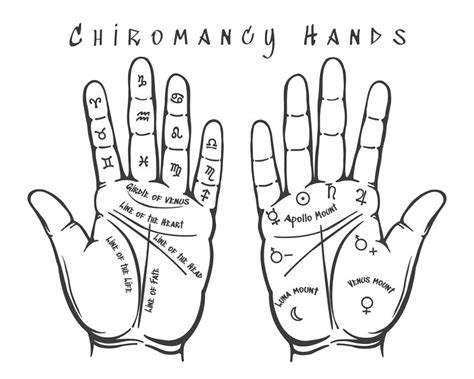 Chiromancy hands illustration By vectortatu | TheHungryJPEG