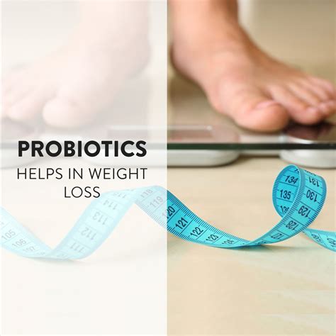 How Probiotics Help with Weight loss | Lifezen