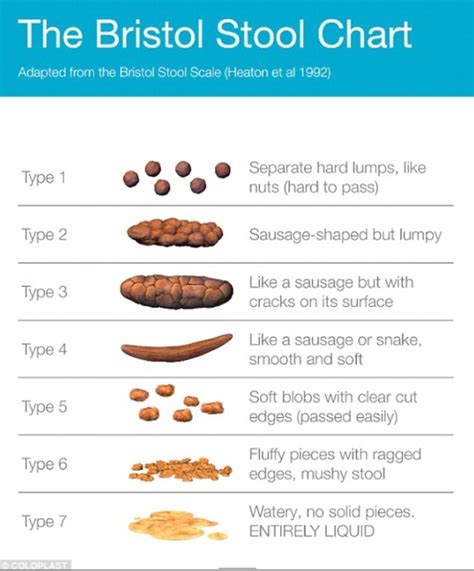 Putting poop in perspective | Radio Gunk