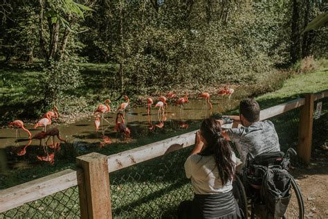 Greater Vancouver Zoo - The Fraser Valley