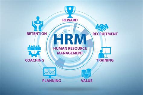 HRM - Human Resources Management Concept Stock Illustration - Illustration of career, networking ...