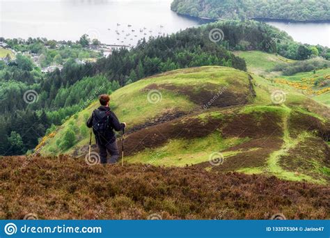 Hiking in Scotland. Lake Loch Lomond Editorial Stock Image - Image of scottish, view: 133375304