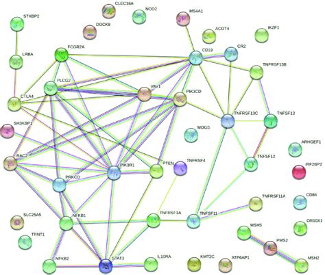 Protein-protein interaction map displaying the significant functional ...