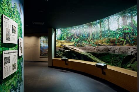 Staten Island Zoo Reptile Wing Exhibit - Architizer