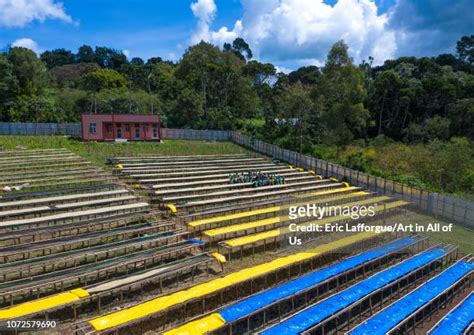 698 Ethiopian Coffee Beans Stock Photos, High-Res Pictures, and Images - Getty Images