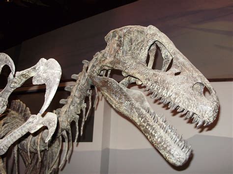 Utahraptor, Museum Of Ancient Life, Lehi, Utah. Picture taken by Chester Harris | Lion sculpture ...