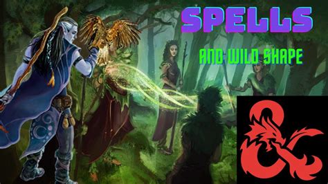 Best Spells: for Druid Wild Shape D&D 5e - YouTube