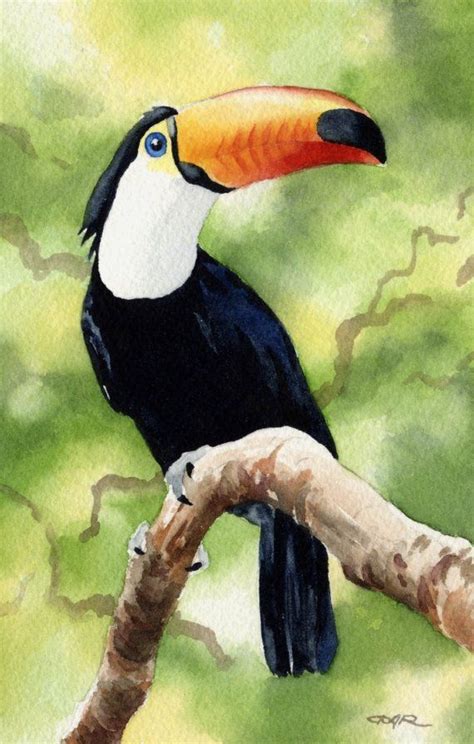 TOUCAN Art Print Signed by Artist DJ Rogers | Toucan art, Watercolor paintings, Animal paintings