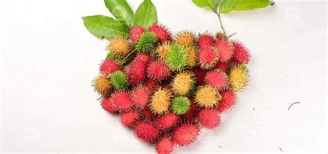 Nature's Juicy Jewel: Discover the Delight of Rambutan - PlanMyMedical