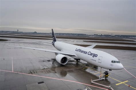 Lufthansa Cargo adds summer freighter connections - Air Cargo Week