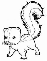 Animal Coloring Pages Free Printable PDF sketch template