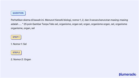 SOLVED: Perhatikan skema di bawah ini. Menurut hierarki biologi, nomor 1, 2, dan 3 secara ...