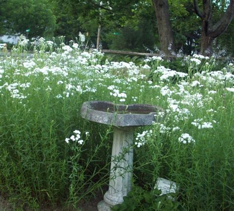 Heirloom Gardens | Skowhegan History House Museum & Research Center