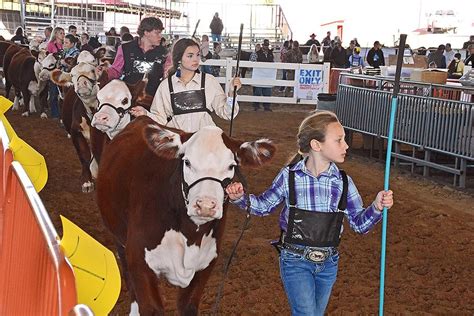 Arkansas State Fair Livestock | The Arkansas Democrat-Gazette - Arkansas' Best News Source