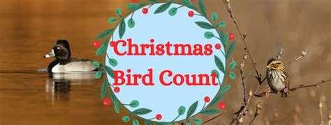 Christmas Bird Count – The Clifton Institute