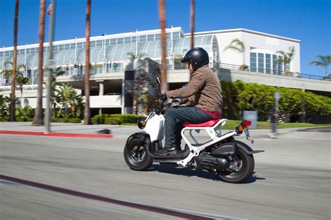 5 Reasons You Should Buy a Honda Ruckus