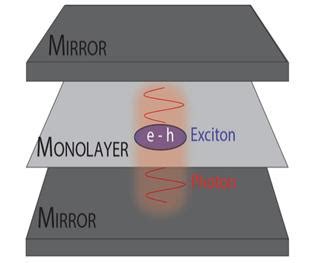 Polariton interactions: Light matters | EurekAlert!