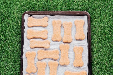 Vegan Dog Treats Recipe (3 Ingredients) | Bone Appetreat