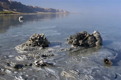 Dead Sea Mud Mineral Royalty Free Stock Image - Image: 27292986